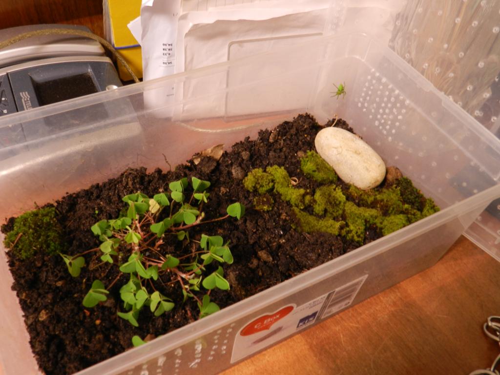 2016_03_14-23_10_31_9fc97.jpg
