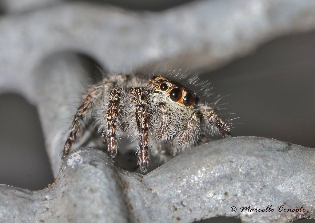 2016_05_02-17_07_11_311f7.jpg